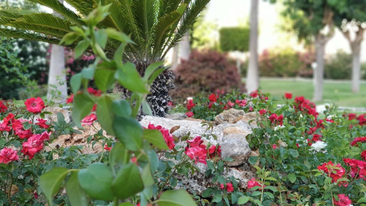 טורמולינוס Golf Coast Los Alamos, Primera Linea De Playa מראה חיצוני תמונה